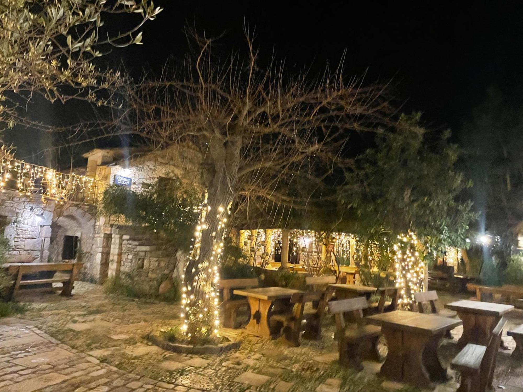 My Adriatic Place With Private Garden And Garage Šibenik Dış mekan fotoğraf